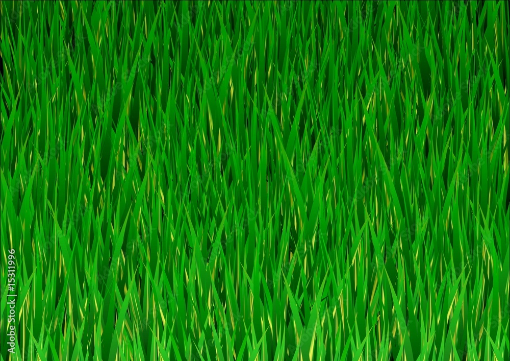 Lawn Vector