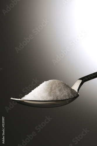 Zucchero photo