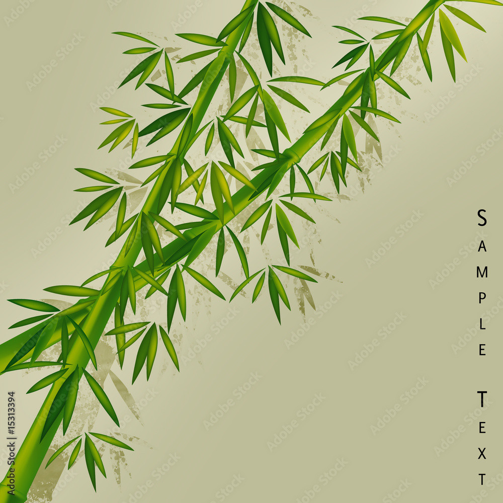 Fototapeta premium bambus