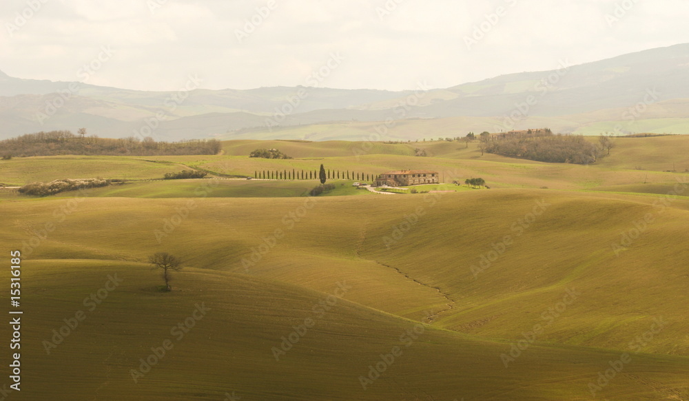 Obraz premium Tuscany countryside in spring