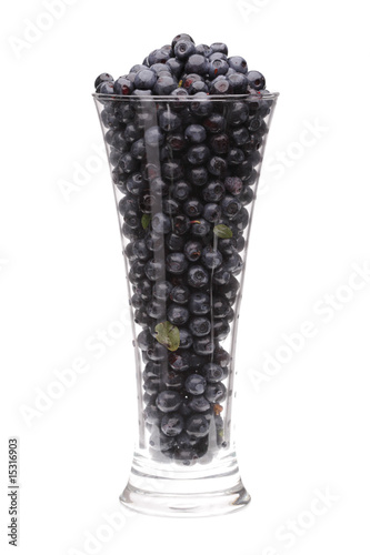 bilberry in high glass on white background