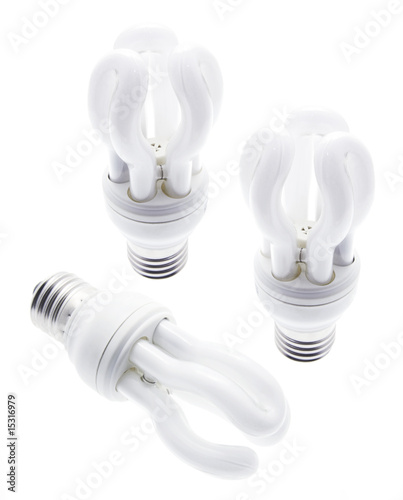 Compact Fluorescent Light Bulbs