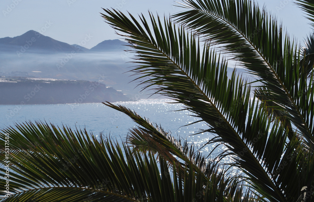Fototapeta premium Palm leaves and ocean
