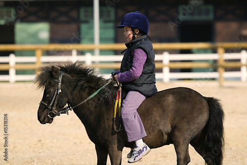 Poney