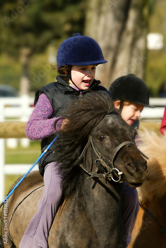 Poney