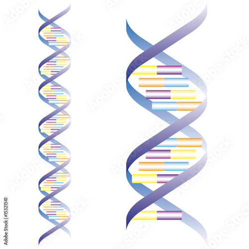 dna_01