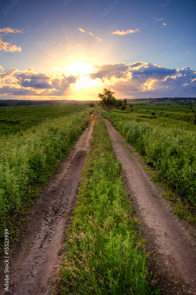 country road under sunset country road under sunset