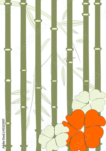 bambus illustration