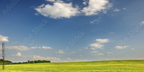 Green field and the dark blue sky