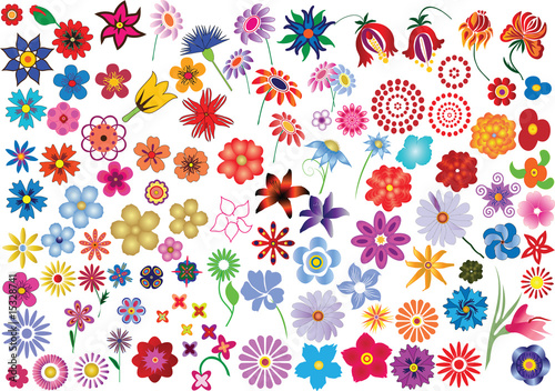 Obraz na płótnie Set of colorful vector floral elements