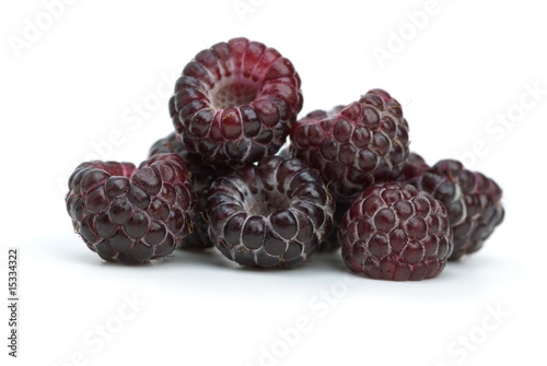 Closeup shot of some blackberries