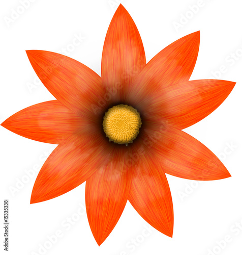 fantastic red flower