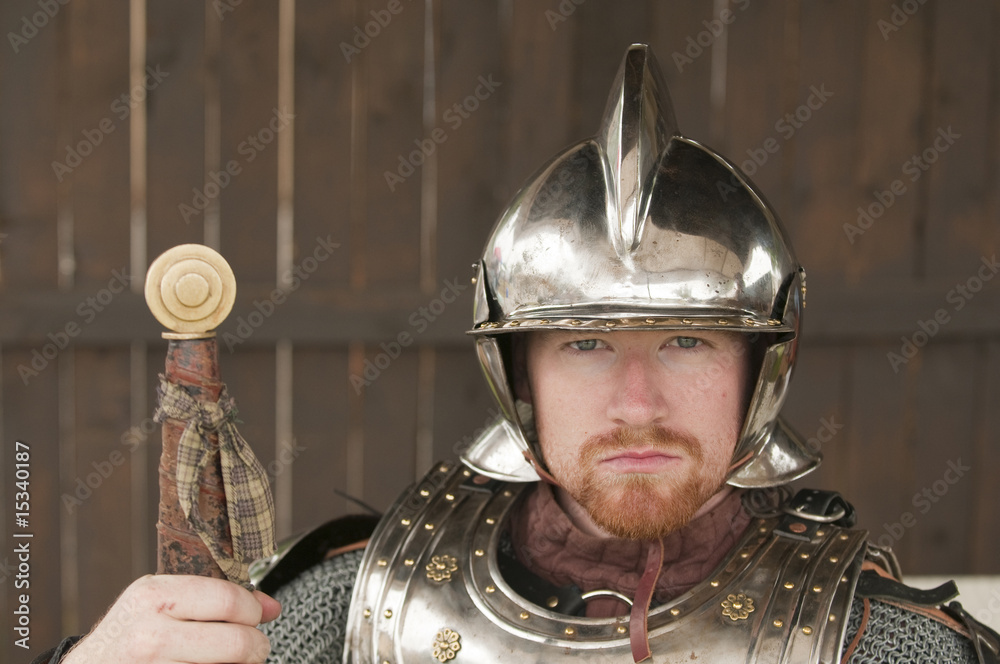 Naklejka premium Young bearded Knight