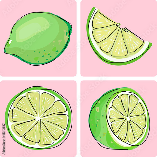 icon set - lime fruit