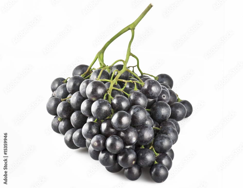 Fototapeta premium Uva Nera 6 09