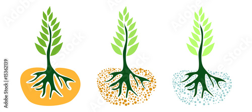 ÁRBOL VIDA
