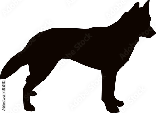 Alaskan Husky Dog
