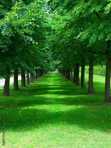 green garden