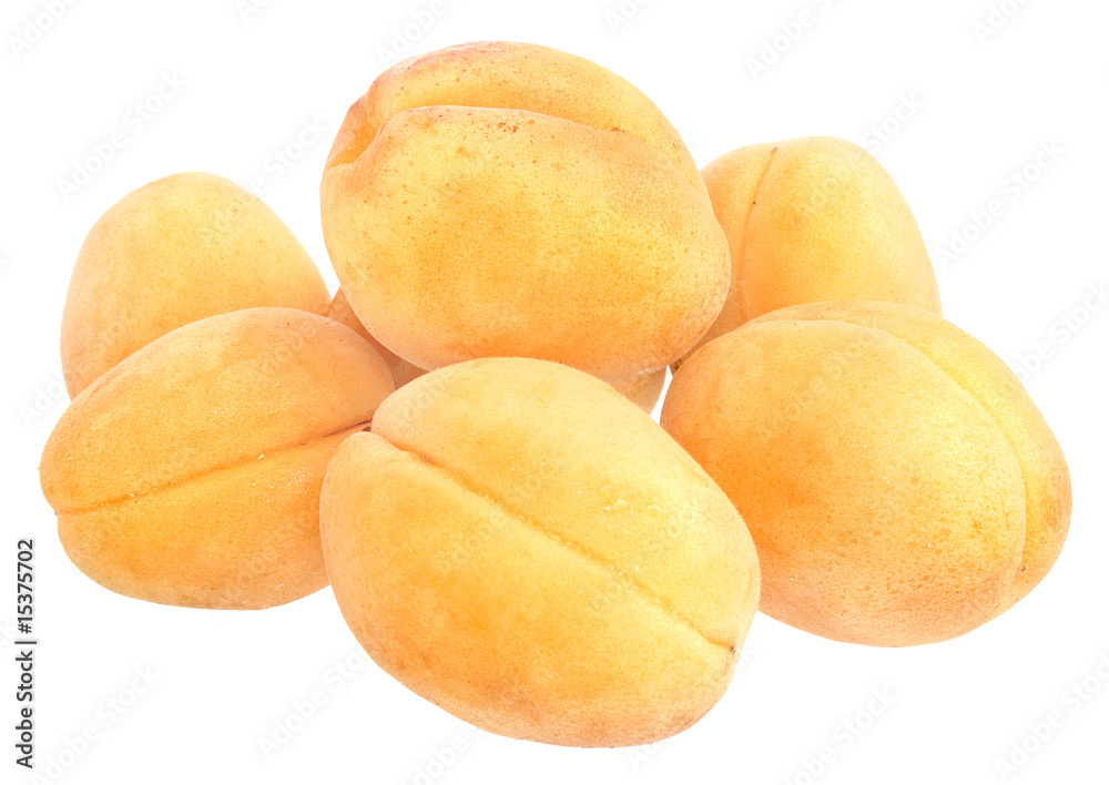 apricot apricot