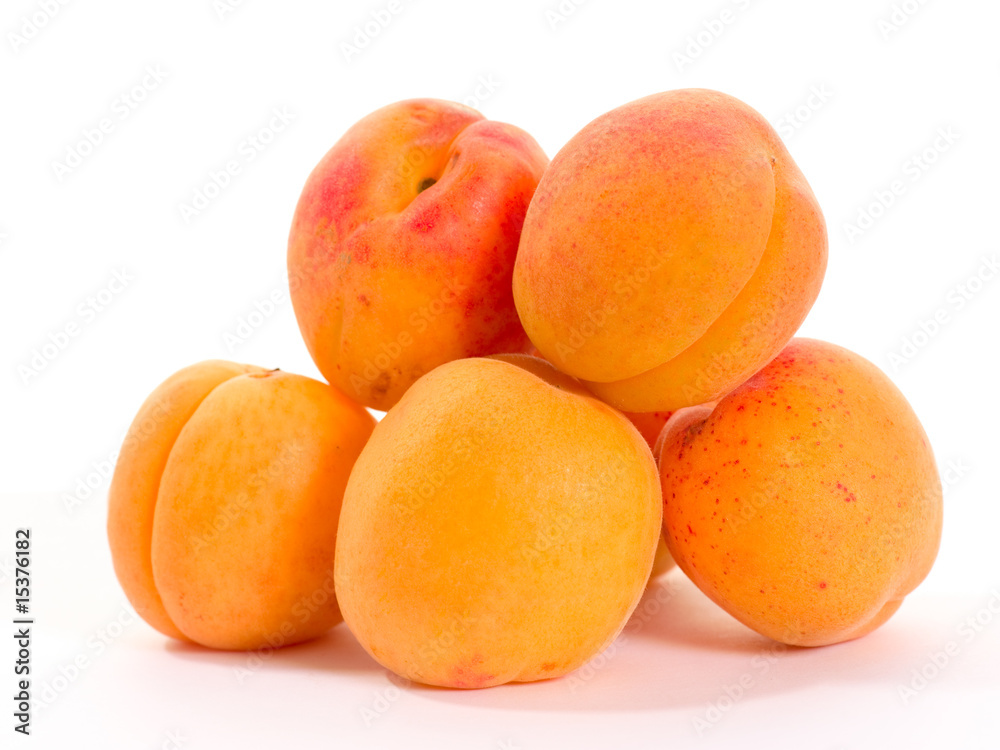 apricot apricot