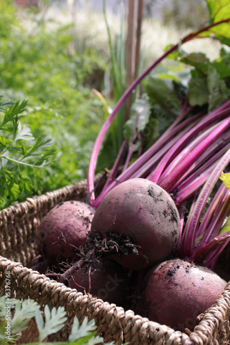 Beetroot