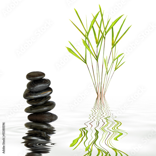 Bamboo Grass and Spa Stones
