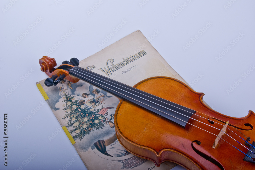 Fototapeta premium Violine