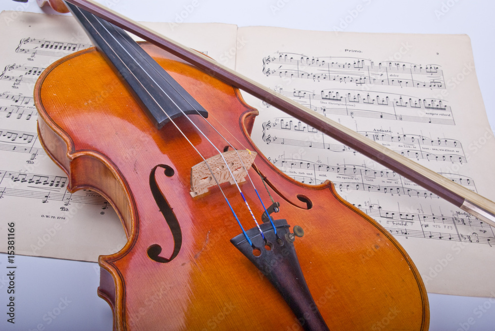 Naklejka premium Violine
