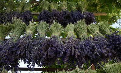 Gartenposter Lavendelblüten Lavendel-Strauß  © Pictures news