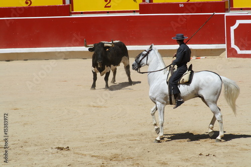 Tableau sur toile Conduciendo ganado.