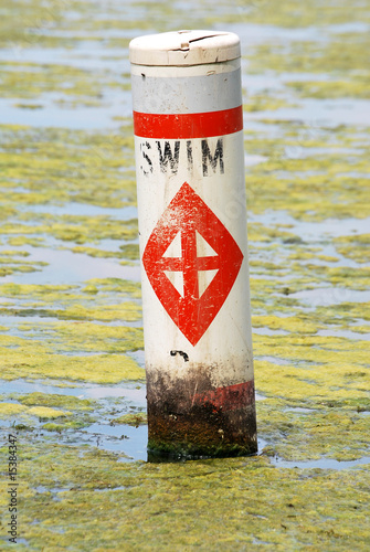 Swim buoy surrounded by weeds and algae