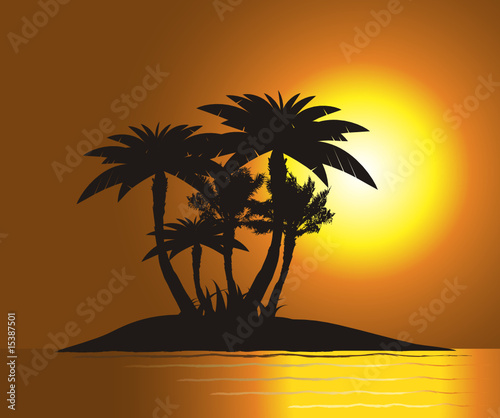 Sunset on the island with palm s silhouette