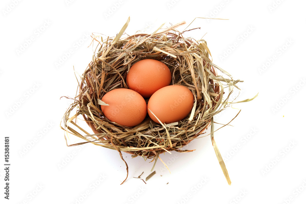 Three eggs in nest isolated on white Three eggs in nest isolated on white