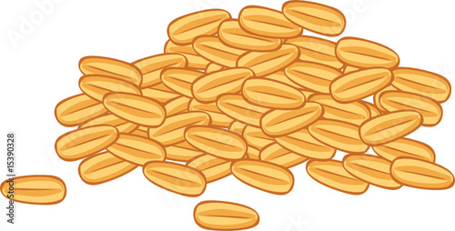GLUTEN - Grain orge