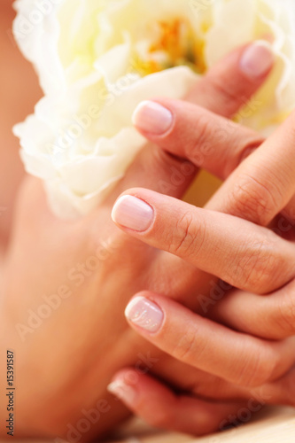 beautiful female hands