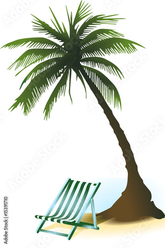 palme liegestuhl