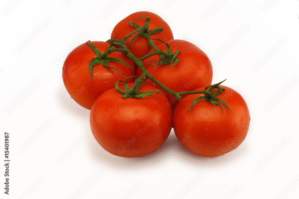 tomatos tomatos
