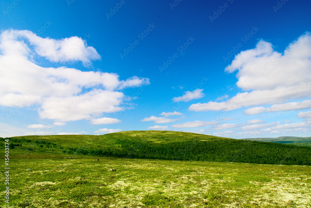tundra tundra