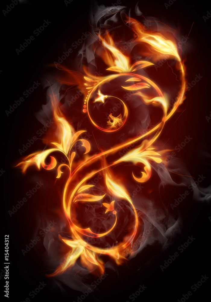 Fototapeta premium Fiery flower