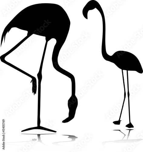 flamingo vector silhouettes