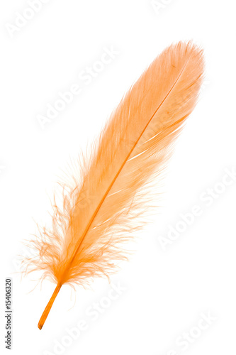 Yellow Feather