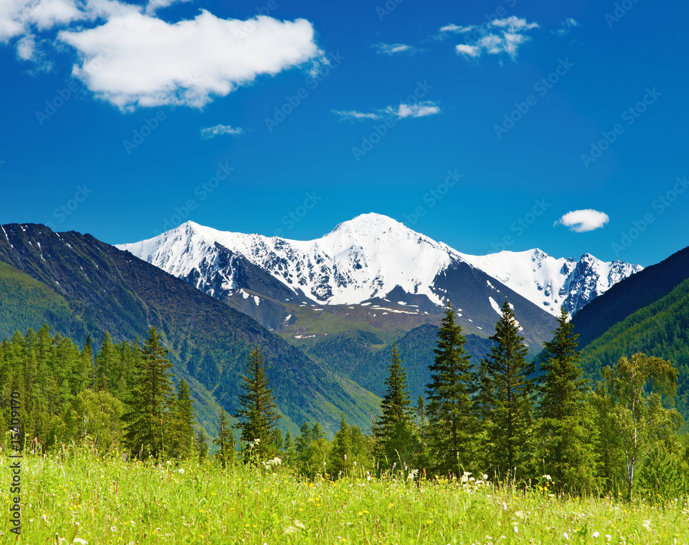 Obraz premium Mountain landscape
