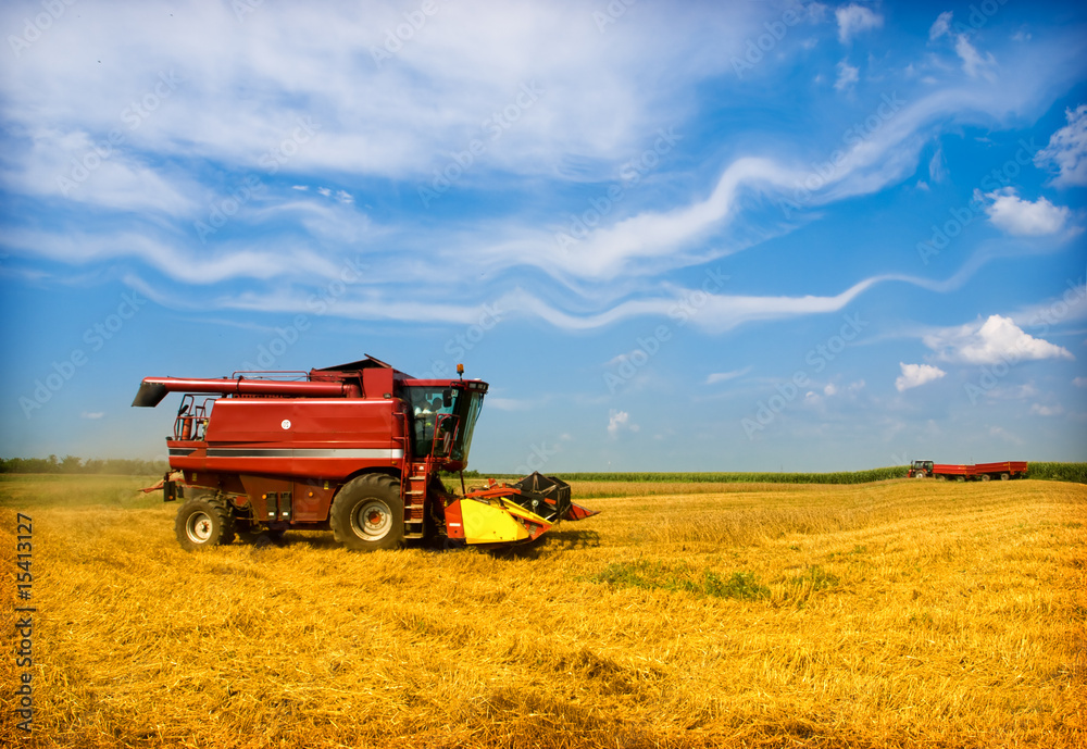 Obraz premium Combine working on a wheat field