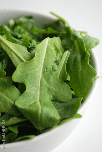 Bol de feuilles de Roquette - Rocket leaves bowl photo