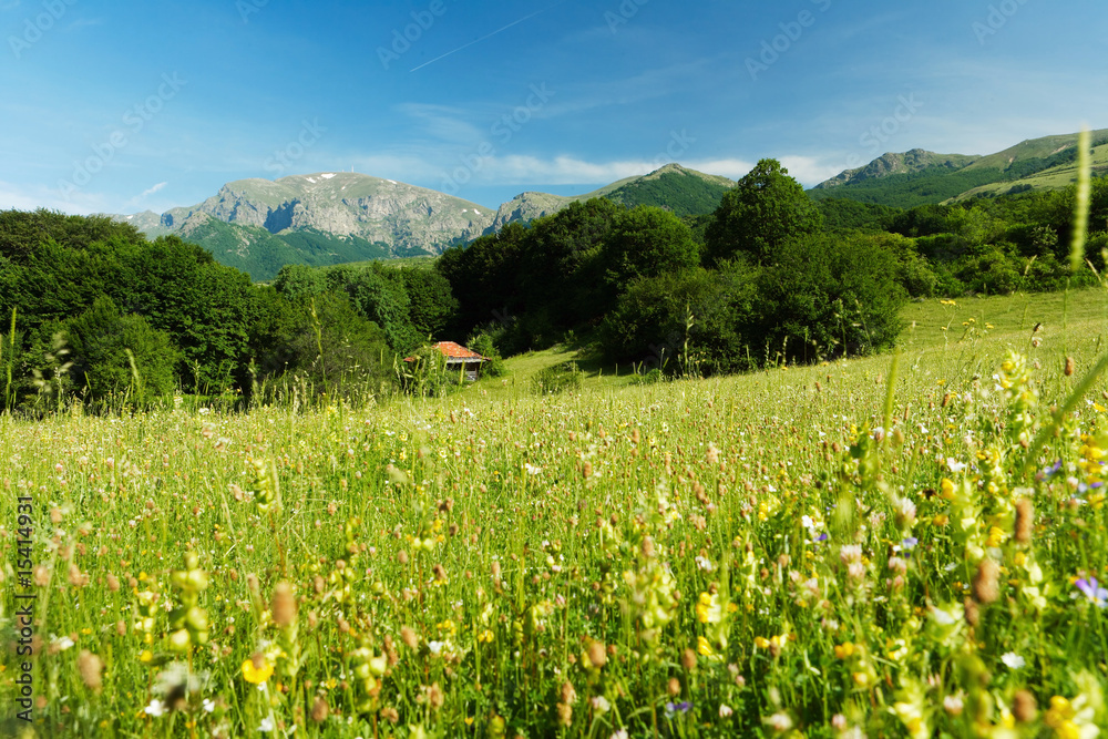 Obraz premium Spring landscape with mountains