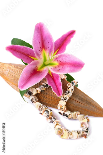 Seashell necklace and lily flower