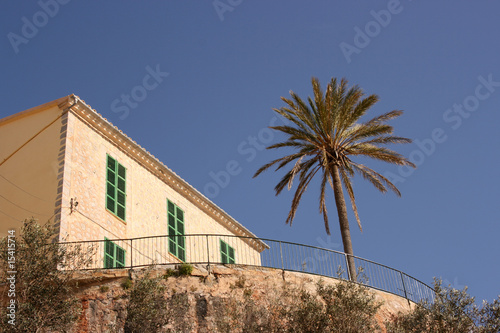 mediterian house with palm