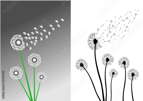 Pusteblume & Löwenzahn als Vektor