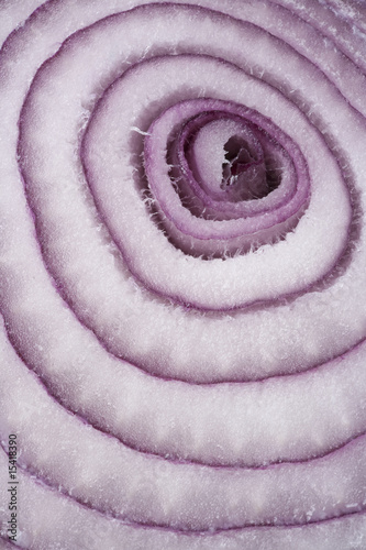 Inside of a red onion
