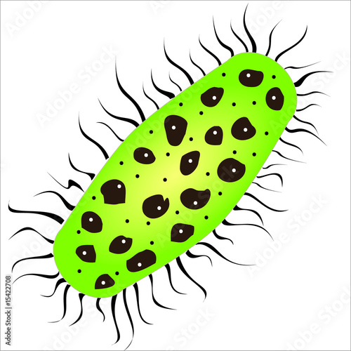 Bacteria (ras_1)